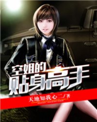 空姐的贴身高手